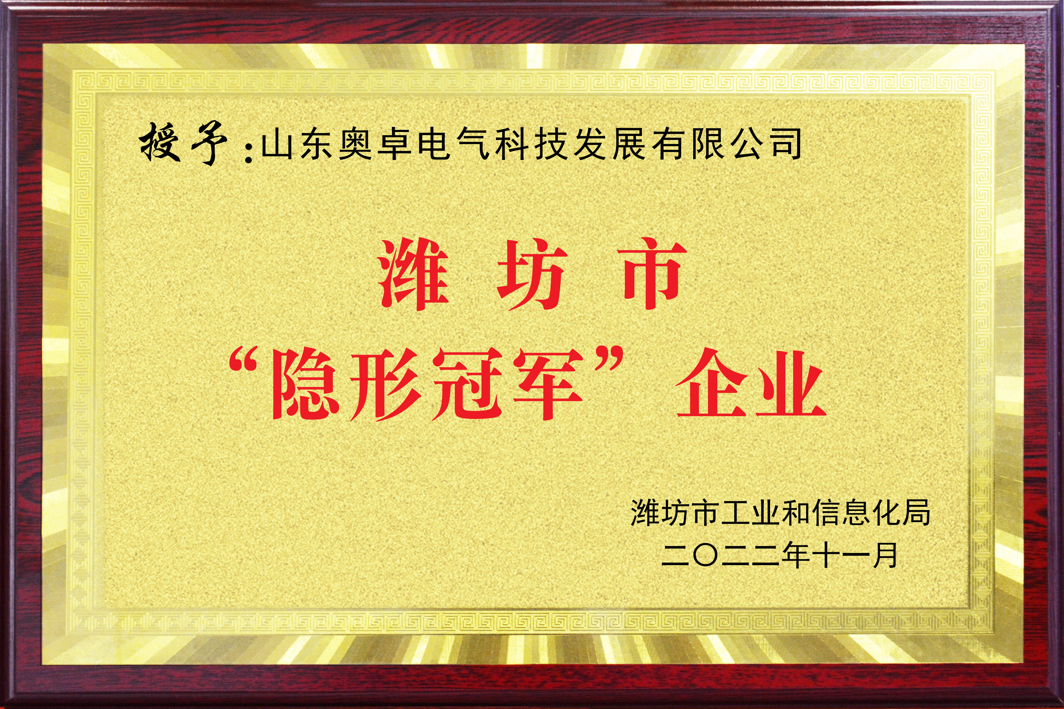 濰坊市隱形冠軍企業